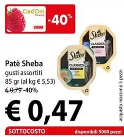 Cadoro Patè Sheba offerta