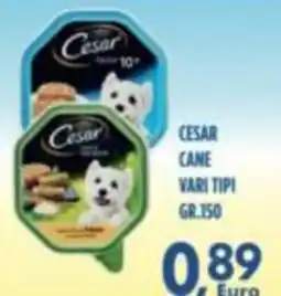 Orizzonte Supermercati Cesar cane offerta