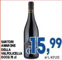 DEM Sartori Amarone della Valpolicella DOCG offerta