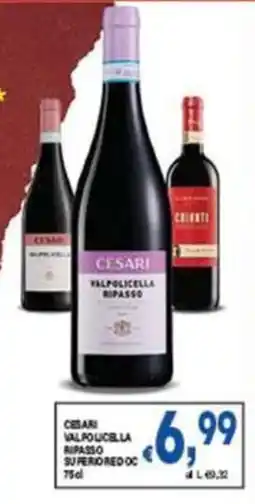 DEM Cesari Valpolicella Ripasso offerta