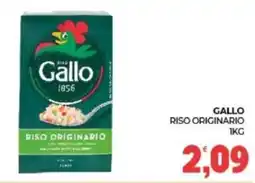 Eté Gallo Riso Originario offerta