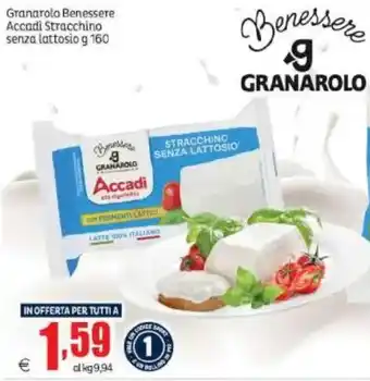 Accadi Stracchino senza lattosio