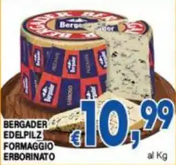 DEM Bergader edelpilz formaggio erborinato offerta