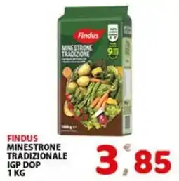Premium Supermercati Findus Minestrone Tradizionale IGP DOP offerta