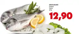 MEGA Orata offerta