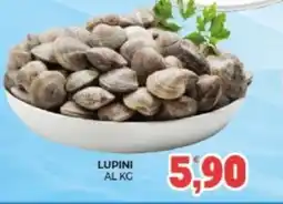 Eté Lupini offerta