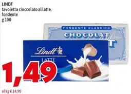 MEGA Lindt cioccolato al latte offerta