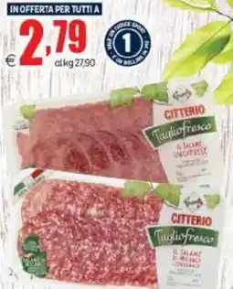 Elite Taglio fresco Citterio offerta