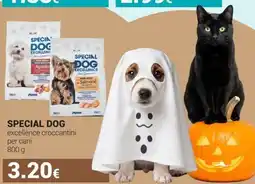 Tigotà Special Dog excellence croccantini per cani offerta