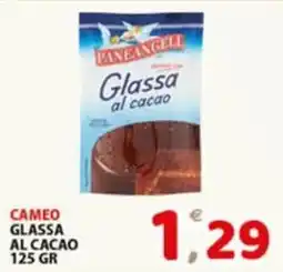 Premium Supermercati Glassa al cacao Paneangeli offerta