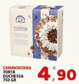 Premium Supermercati Sammontana torta duchessa offerta