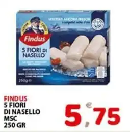 Premium Supermercati Findus 5 Fiori di Nasello offerta