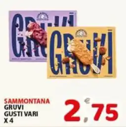 Premium Supermercati Sammontana Gruvi offerta