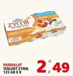 Premium Supermercati Yogurt Zymil offerta