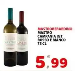 Premium Supermercati Mastroberardino Mastro Campania IGT Rosso e Bianco offerta