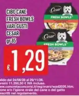 IperSisa Cibo cane fresh bowls vari gusti cesar offerta