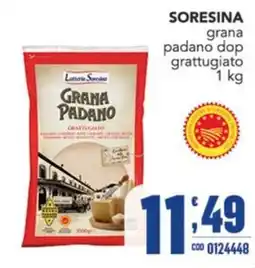 Gruppo di Palo Grana Padano grattugiato offerta
