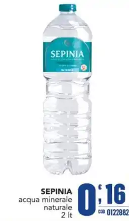 Gruppo di Palo Sepinia acqua minerale naturale offerta