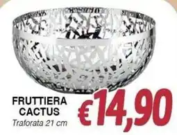 Bernava Fruttiera cactus offerta