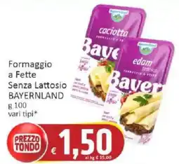 Paghi Poco Formaggio a Fette Senza Lattosio Bayerland offerta