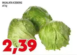 MEGA Insalata iceberg offerta