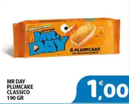 Mio Market Mr Day plumcake classico offerta