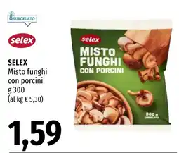 Emi Market Selex Misto funghi con porcini offerta