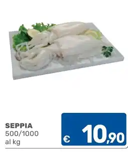 ARCA C+C cash and carry Seppia offerta