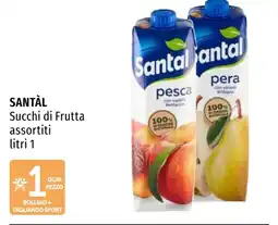 Emi Market Santàl Succhi di Frutta assortiti offerta