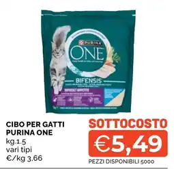 Mercatò Big Cibo per gatti Purina One offerta