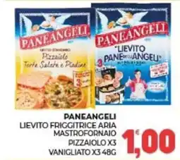 Eté Paneangeli lievito friggitrice aria mastroforno pizzaiolo offerta