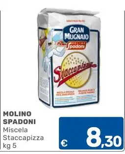 ARCA C+C cash and carry Miscela Staccapizza Molino Spadoni offerta