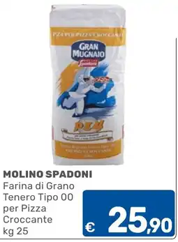 ARCA C+C cash and carry Farina di Grano Tenero Tipo 00 per Pizza Croccante offerta