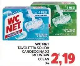 Eté WC NET Tavoletta Solido Candeggina X2 Mountain Ocean offerta