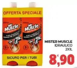 Eté Mister Muscle idraulico offerta