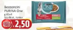 Paghi Poco Bocconcini PURINA One offerta