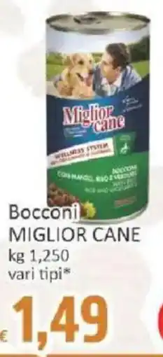 Paghi Poco Bocconi Miglior Cane offerta