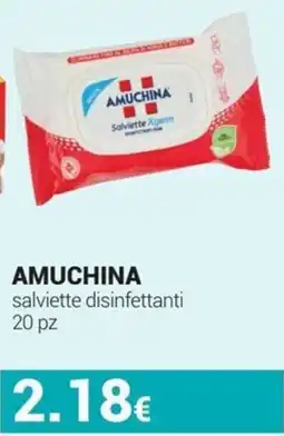 Tigotà Amuchina salviette disinfettanti offerta