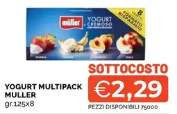 Mercatò Big Yogurt multipack Muller offerta