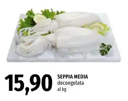 Emi Market Seppia media offerta