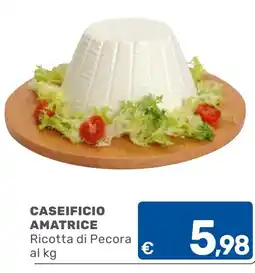 ARCA C+C cash and carry Ricotta di Pecora offerta