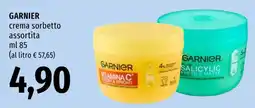 Emi Market Garnier crema sorbetto assortita offerta