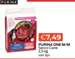 Mercatò Big Purina One M/M Secco Cane offerta