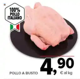 Todis Pollo a busto offerta