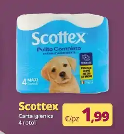 Acqua & Sapone Scottex Carta igienica offerta