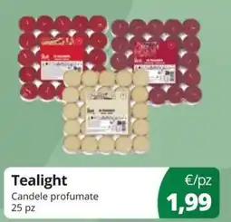 Acqua & Sapone Tealight Candele profumate offerta