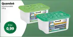 Acqua & Sapone Quandoè Assorbiumidità offerta
