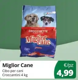 Acqua & Sapone Miglior Cane Cibo per cani Croccantini offerta