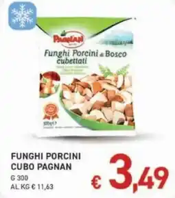 Coal Funghi Porcini Cubo Pagnan offerta