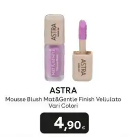 Idea bellezza Astra Mousse Blush Mat&Gentle Finish Vellulato offerta